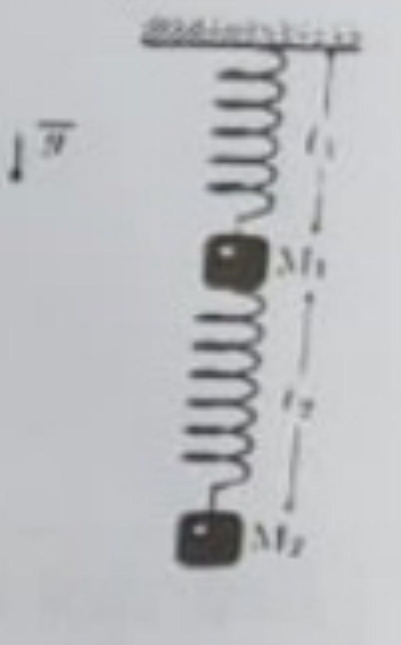 Deux ressorts verticaux