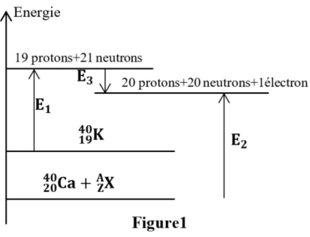 Figure 1 : Diagramme énergétique du potassium 40